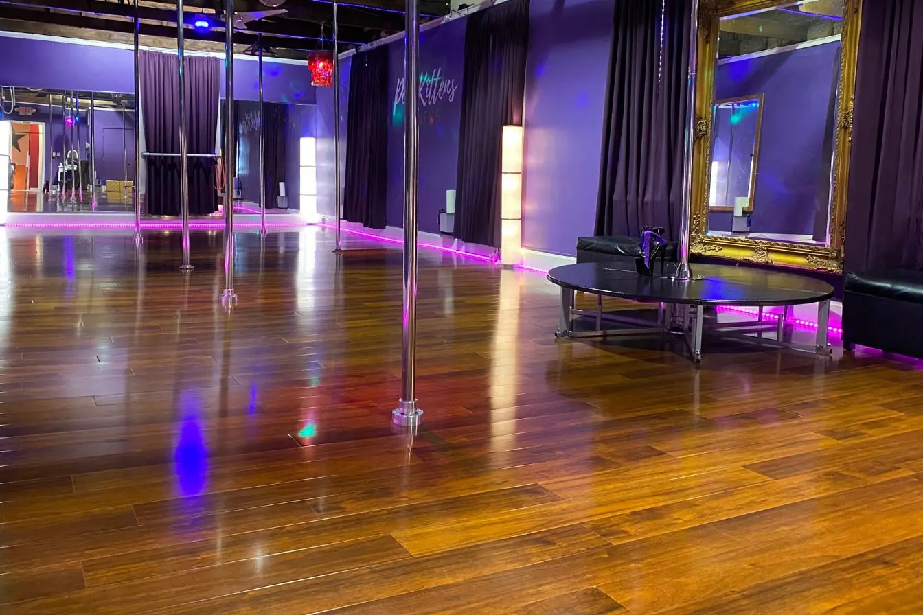 PoleKittens pole room wide shot with soft daytime lighting